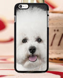 Phone Cases