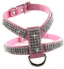 Dogs Collar Harness Safety