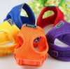 Small Dog Harness Leash