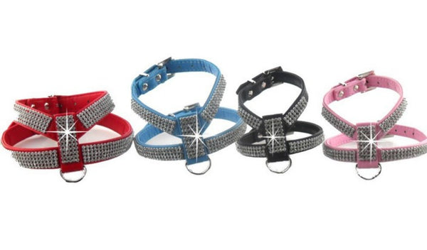 Dogs Collar Harness Safety