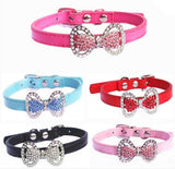 Lead and Collar