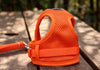Small Dog Harness Leash